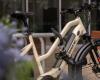 Hiplok Appoints Sports Nut as Distributor for Germany and Austria